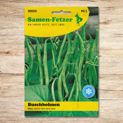 Buschbohnen Maxi