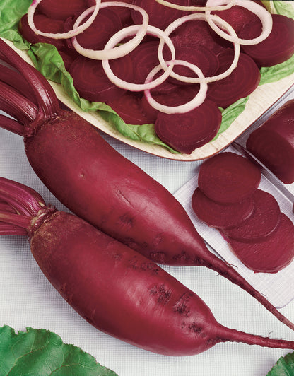 Rote Bete Forono